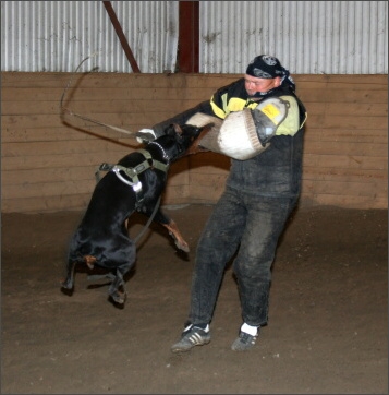 Training in Estonia 11/2007